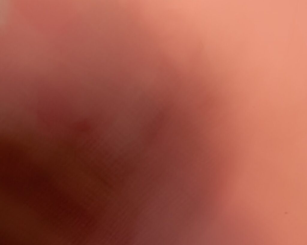 Visceraal vet bij vrouwen: waarom buikvet anders is dan je denkt